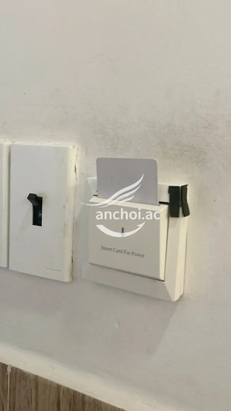 Bé tuyệt vời. Hàng siêu ngon xứng đáng giá tiền — ảnh 4