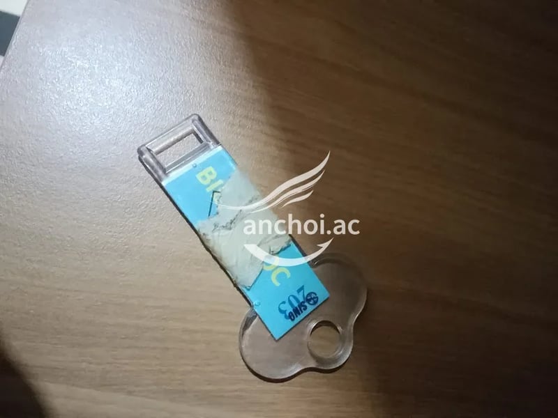 Ngon đỉnh của chóp E hàng này nhiệt tình chiều khách. Không hối thúc vui vẻ