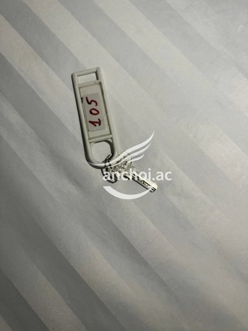 sò long non tơ húp đã vl — ảnh 2