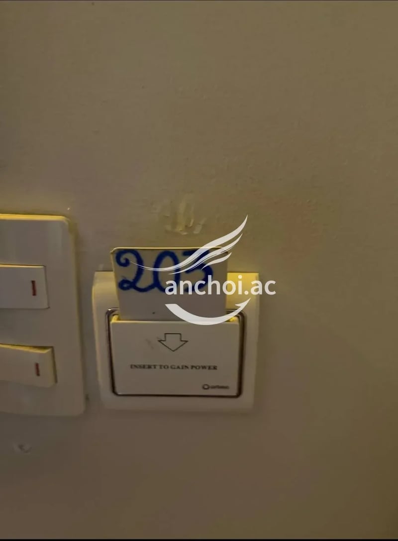 Em này mà cưỡi ngựa thì phê phải biết — ảnh 2