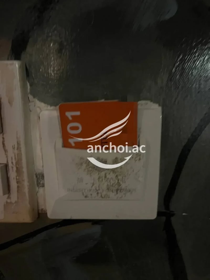 Đã check rất ưng ý nha e Em nó có làn da trắng, thơm tho sạch sẽ rất thích nó dâ