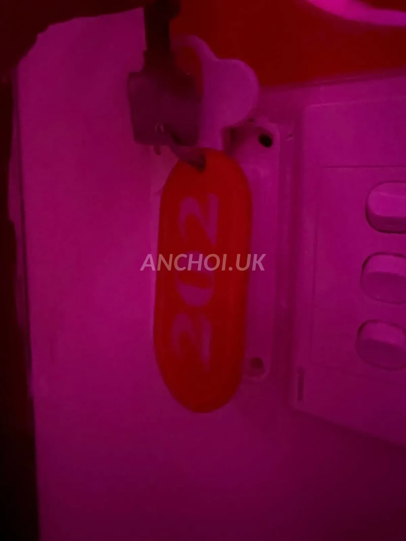 Em này nhìn rất xinh và sang chảnh, da trắng môi mọng. Mông vú to nhìn đã muốn p — ảnh 2