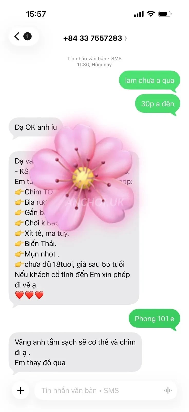 Em gái vui vẻ nhiệt tình. Ngực thật , Bj sâu. Làm tình rất cảm xúc. Chiều khách. — ảnh 3